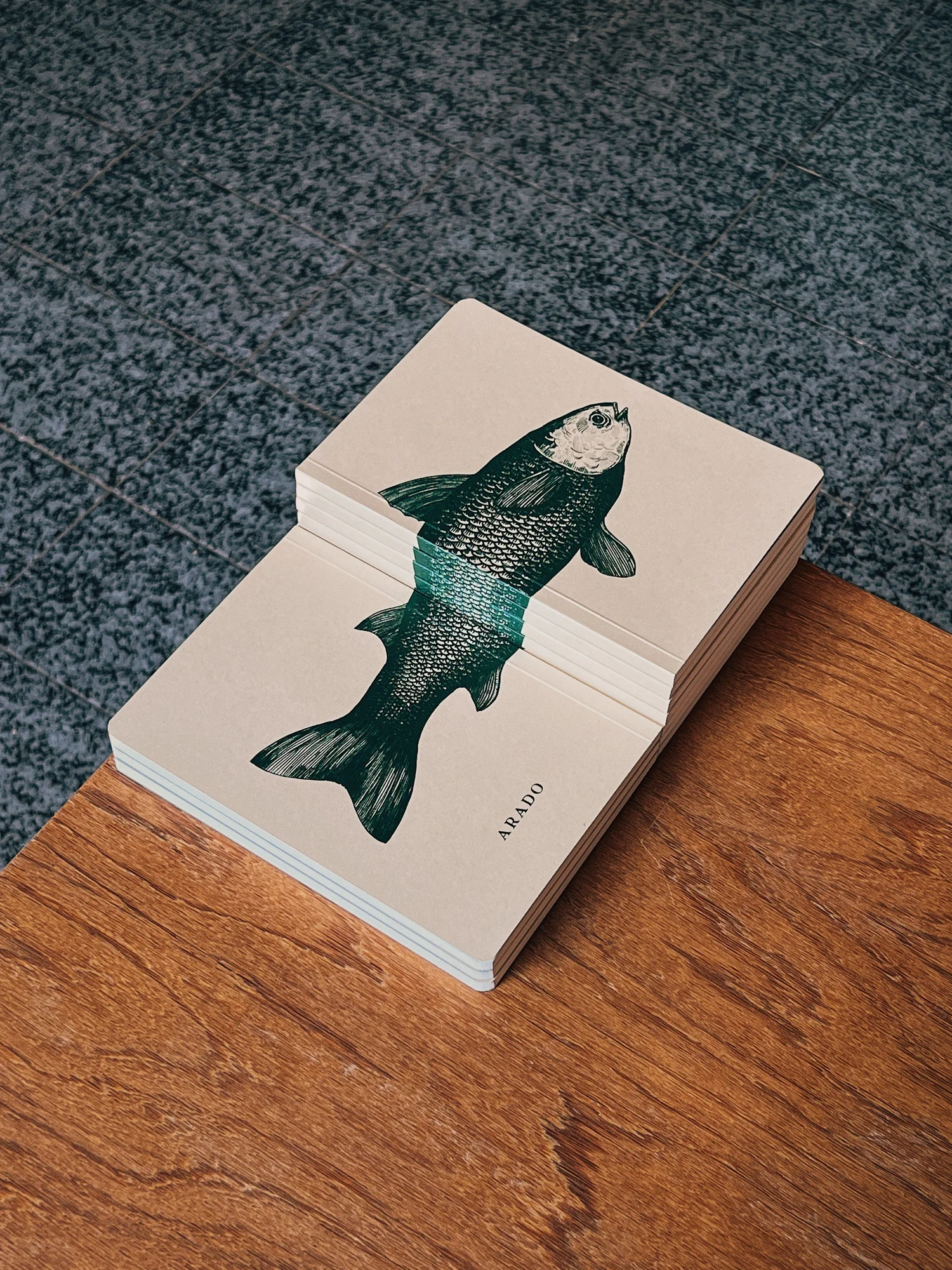Caderno Peixe Vivo — imagem 2