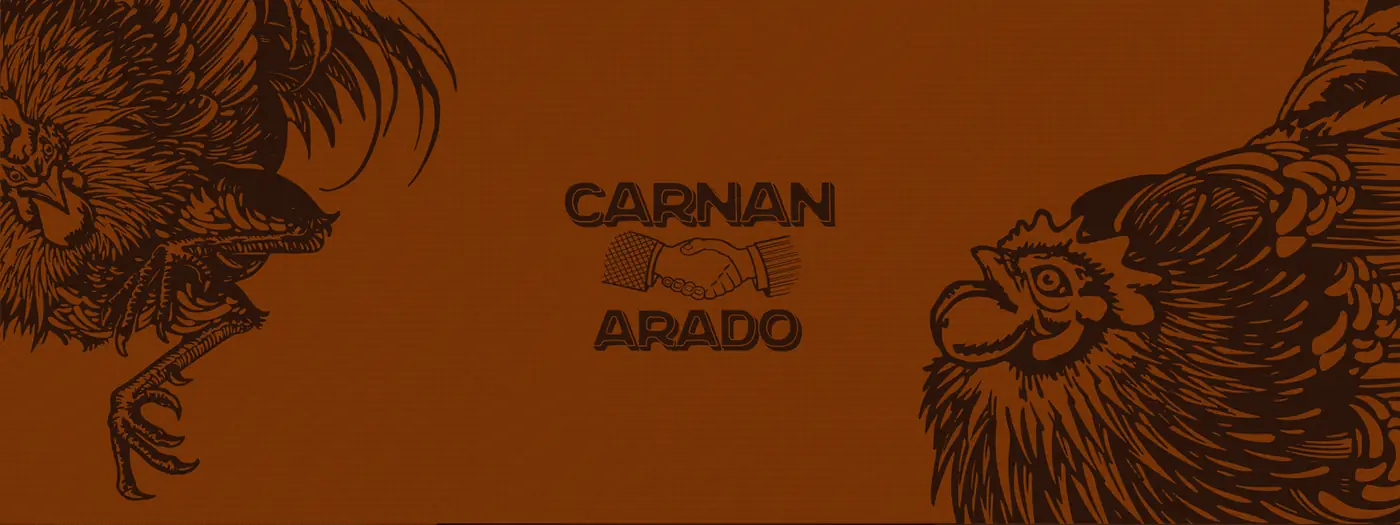 Peças da coleção Brasil Rural para a Carnan: camiseta bordada, etiqueta de couro e retrato de sanfoneiro