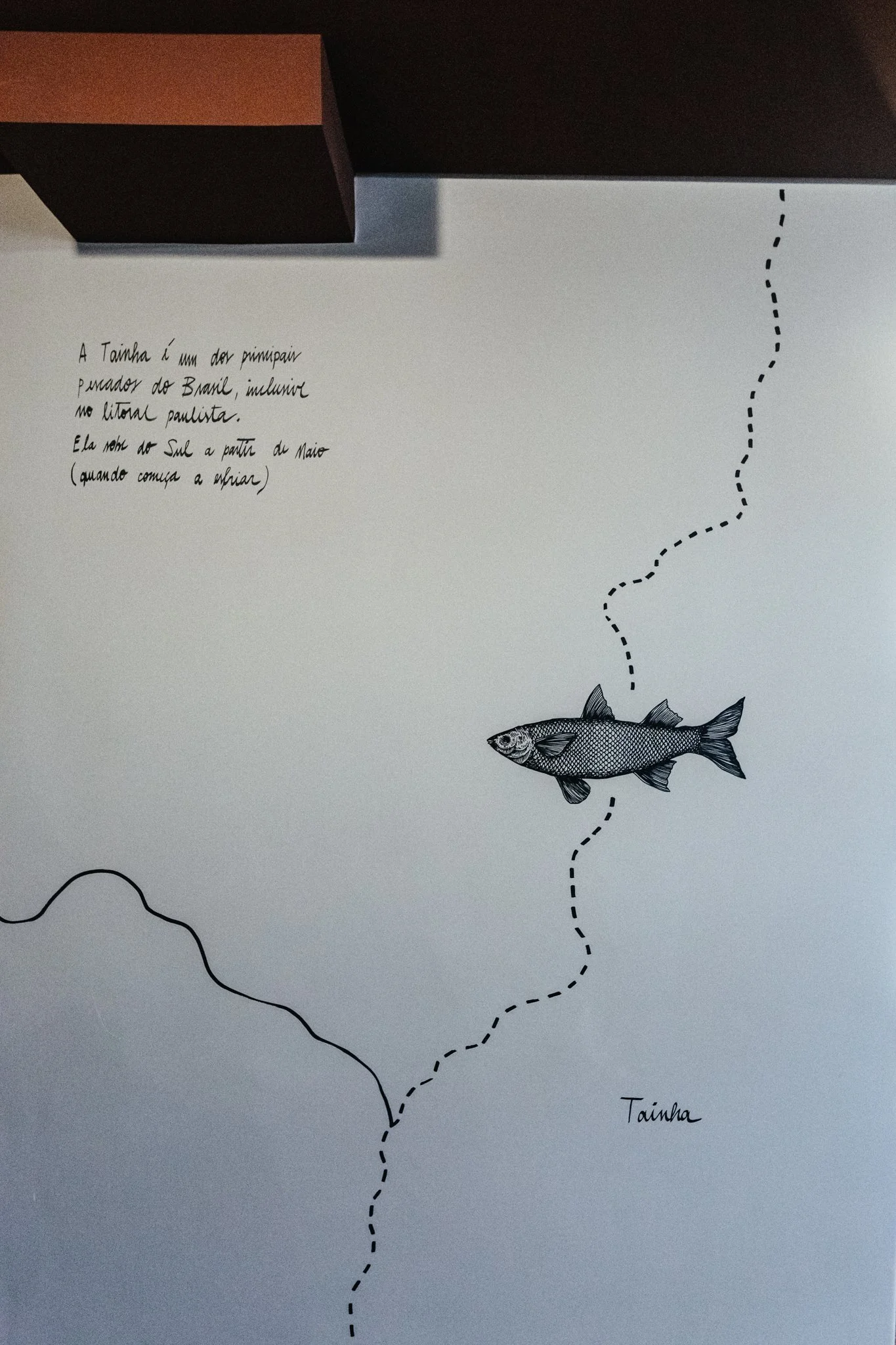 Selina — imagem 14