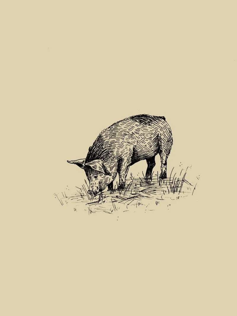 Tordesilhas — imagem 10